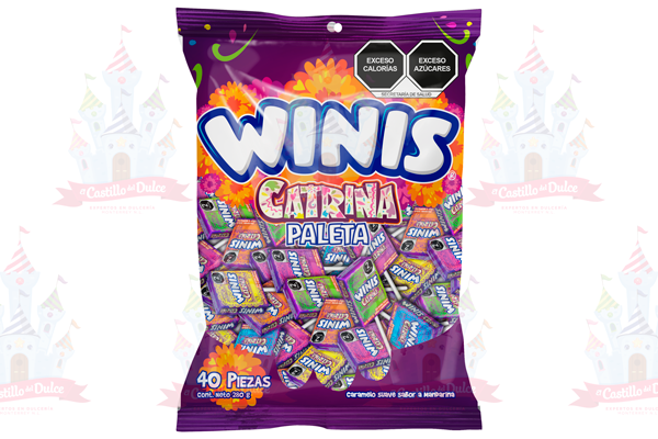 PALETA CATRINA 24/40 PZAS WINIS